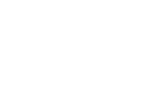 DelaneyGuitars_LOGO_White