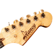 www.delaneyguitars.com