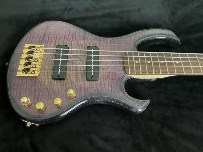Lefredrick Taylor Signature "Tribute" <div> 5-string Bass - Image 3
